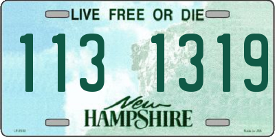 NH license plate 1131319