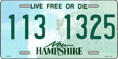 NH license plate 1131325