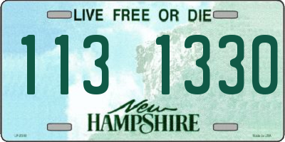 NH license plate 1131330
