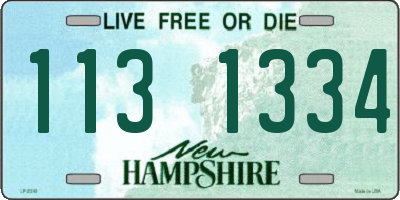 NH license plate 1131334