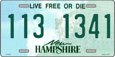 NH license plate 1131341