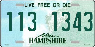 NH license plate 1131343