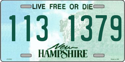NH license plate 1131379
