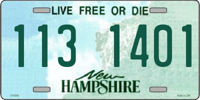 NH license plate 1131401