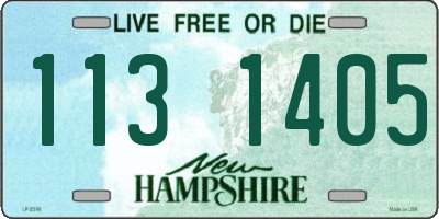 NH license plate 1131405