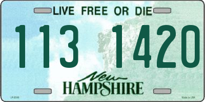 NH license plate 1131420