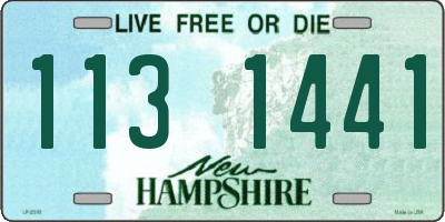 NH license plate 1131441