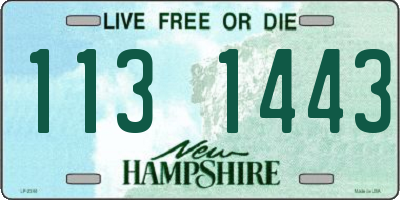 NH license plate 1131443
