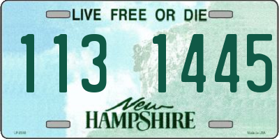 NH license plate 1131445