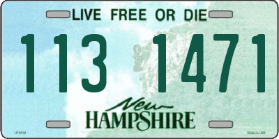 NH license plate 1131471