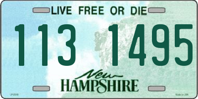 NH license plate 1131495