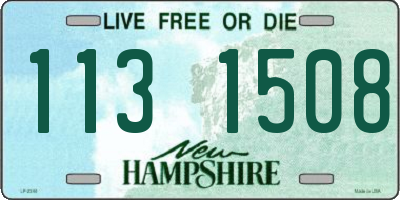 NH license plate 1131508