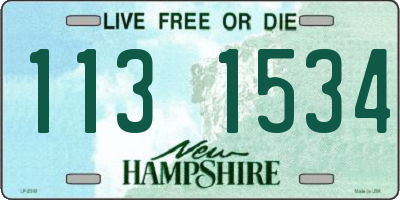 NH license plate 1131534