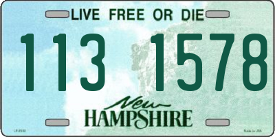 NH license plate 1131578