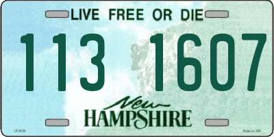 NH license plate 1131607