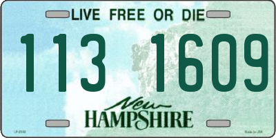 NH license plate 1131609