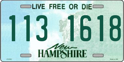 NH license plate 1131618