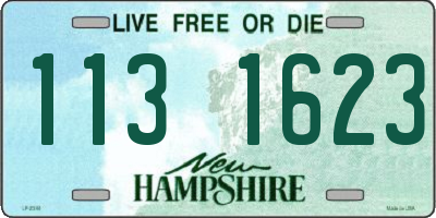 NH license plate 1131623