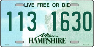 NH license plate 1131630