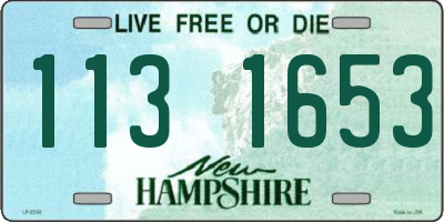 NH license plate 1131653