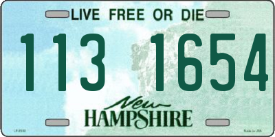 NH license plate 1131654