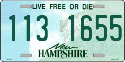NH license plate 1131655