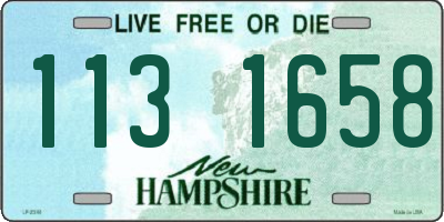 NH license plate 1131658