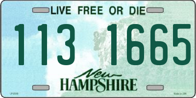 NH license plate 1131665