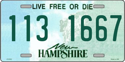 NH license plate 1131667