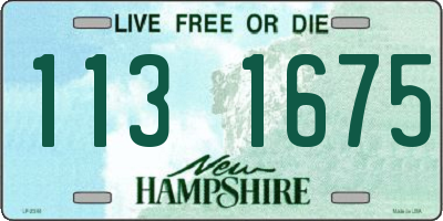 NH license plate 1131675
