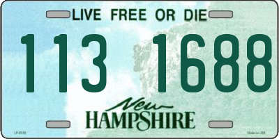 NH license plate 1131688