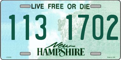 NH license plate 1131702