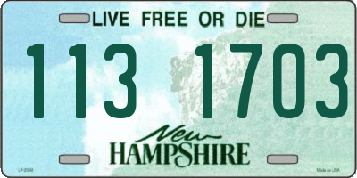 NH license plate 1131703