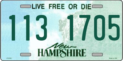 NH license plate 1131705
