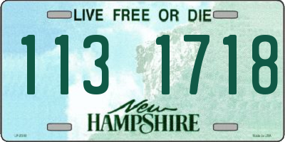 NH license plate 1131718