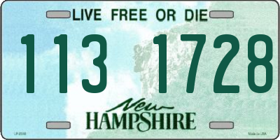 NH license plate 1131728