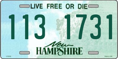 NH license plate 1131731