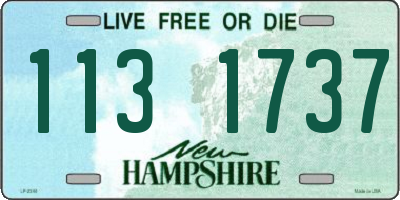 NH license plate 1131737