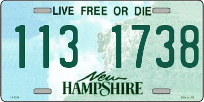 NH license plate 1131738