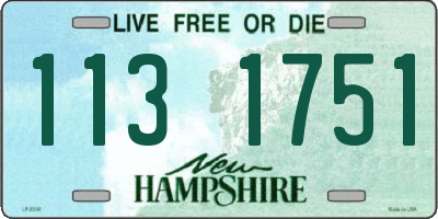 NH license plate 1131751