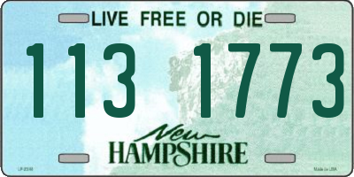 NH license plate 1131773