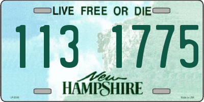 NH license plate 1131775