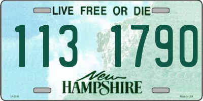 NH license plate 1131790