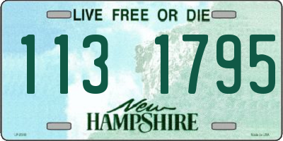 NH license plate 1131795