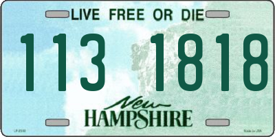 NH license plate 1131818