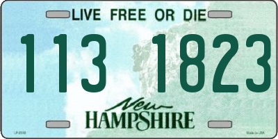 NH license plate 1131823