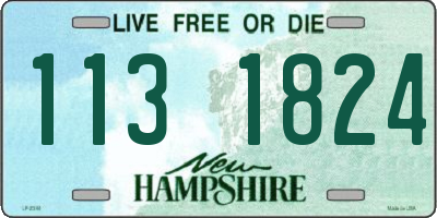 NH license plate 1131824
