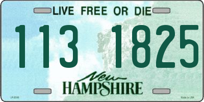 NH license plate 1131825