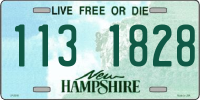 NH license plate 1131828