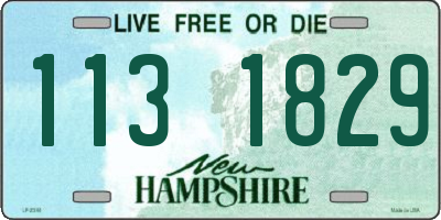 NH license plate 1131829